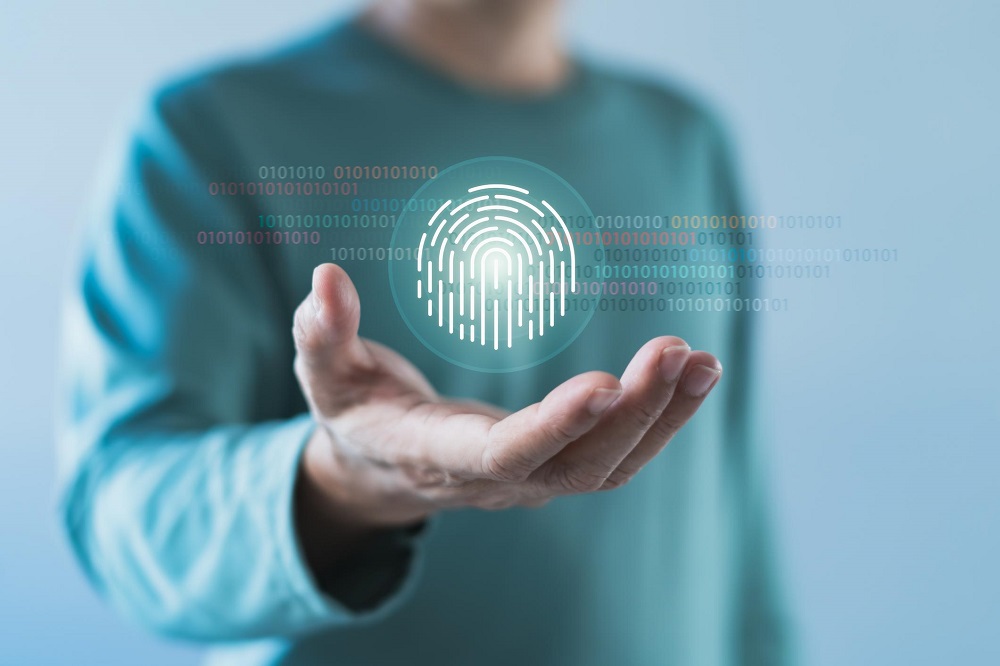 Digital Identity Systems for Secure Authentication